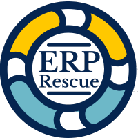 ERP Rescue LLC